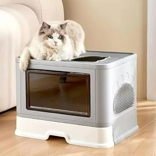Litière pour chat pliable avec brosse inrégré BingoPaw Store