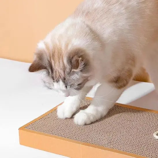 Planche à Gratter pour Chat Shop1102892222 Store