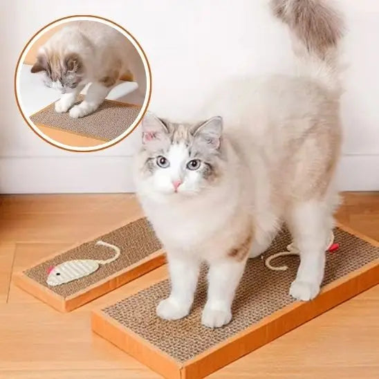 Planche à Gratter pour Chat Shop1102892222 Store