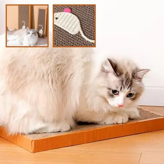 Planche à Gratter pour Chat Shop1102892222 Store