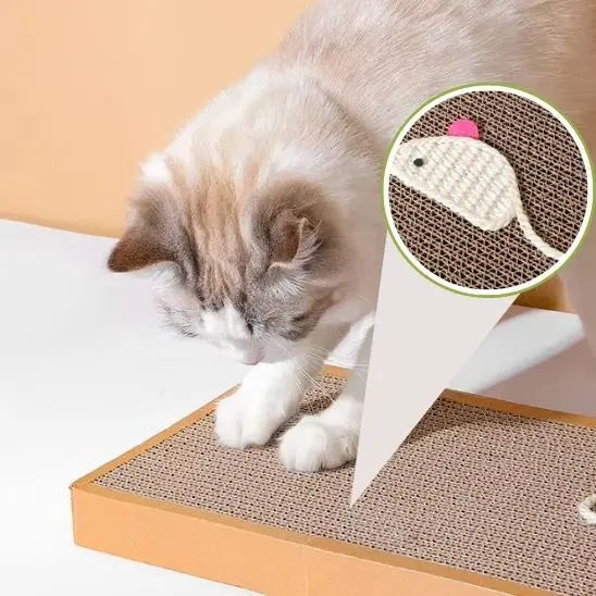 Planche à Gratter pour Chat Shop1102892222 Store