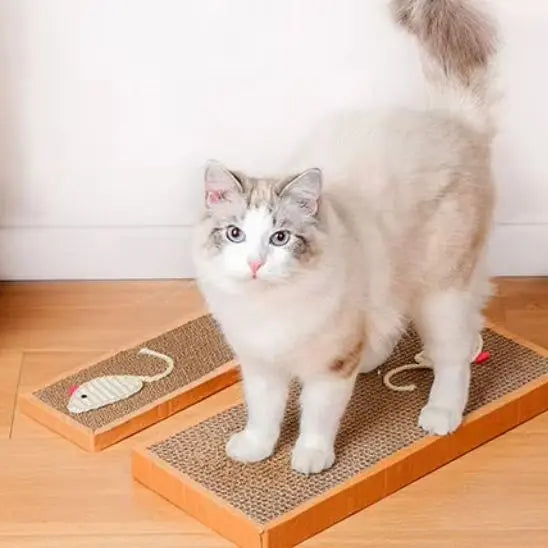 Planche à Gratter pour Chat Shop1102892222 Store