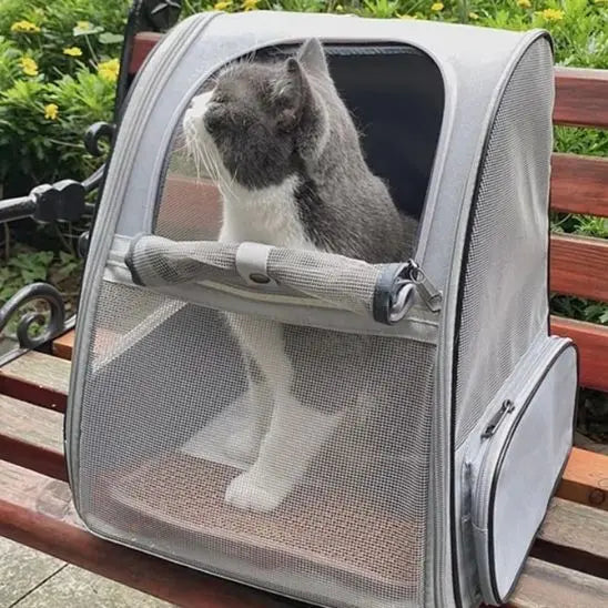 Sac à Dos pour Transport de Chat You Grocery Store
