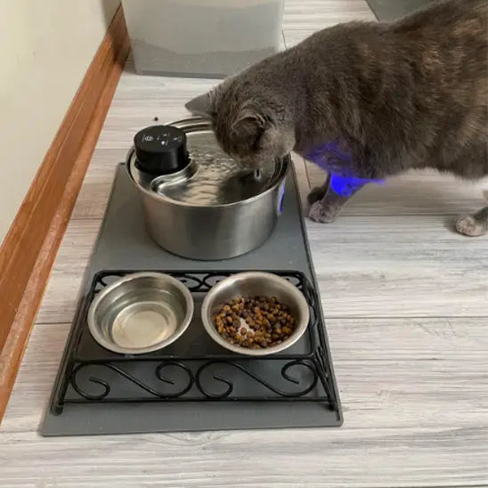 Fontaine d'Eau pour chat sans fil (batterie) 3.2l + 12 filtres ZYFeeder Factory 1 Store