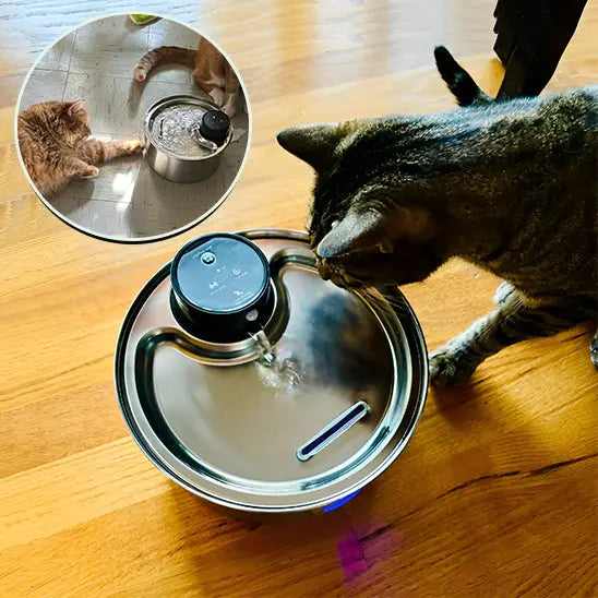 Fontaine d'Eau pour chat sans fil (batterie) 3.2l + 12 filtres ZYFeeder Factory 1 Store