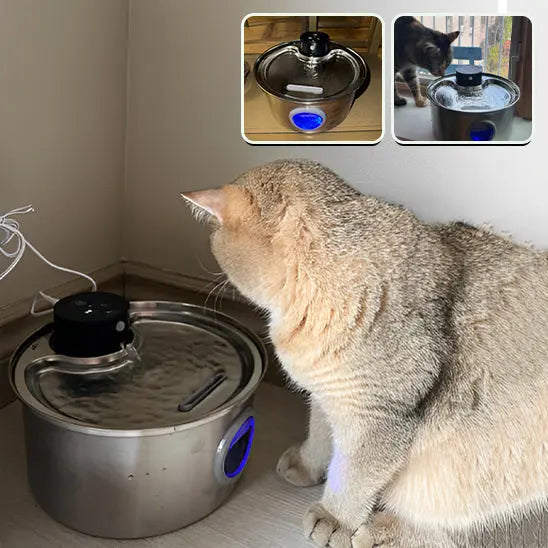 Fontaine d'Eau pour chat sans fil (batterie) 3.2l + 12 filtres ZYFeeder Factory 1 Store