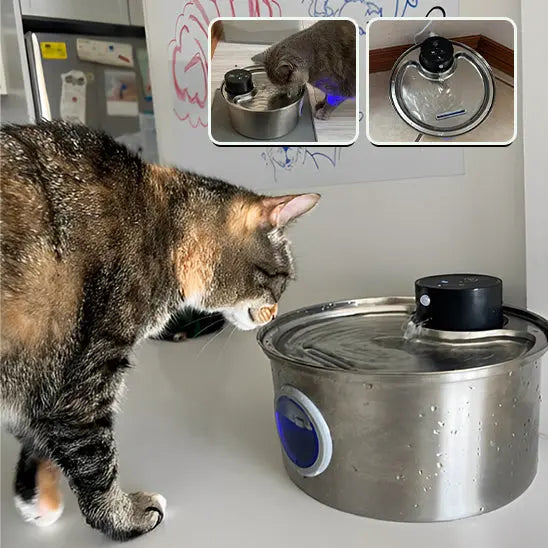 Fontaine d'Eau pour chat sans fil (batterie) 3.2l + 12 filtres ZYFeeder Factory 1 Store