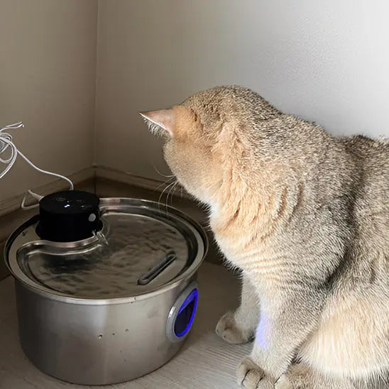Fontaine d'Eau pour chat sans fil (batterie) 3.2l + 12 filtres ZYFeeder Factory 1 Store
