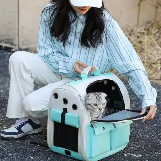 Sac à dos pour chat BOOTEELY LIFE Store