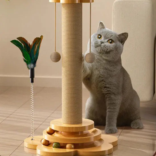 Arbre à chat avec balle suspendue Life Power Store