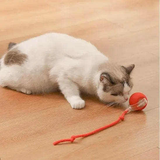 Jouet pour chat, balle roulante automatique avec queue UARAE Flagship Store