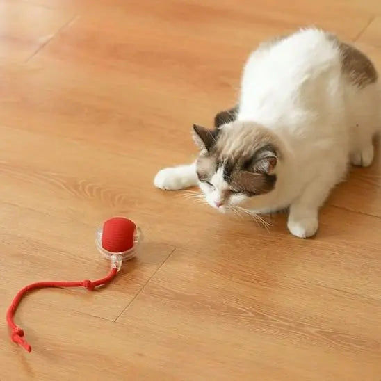 Jouet pour chat, balle roulante automatique avec queue UARAE Flagship Store