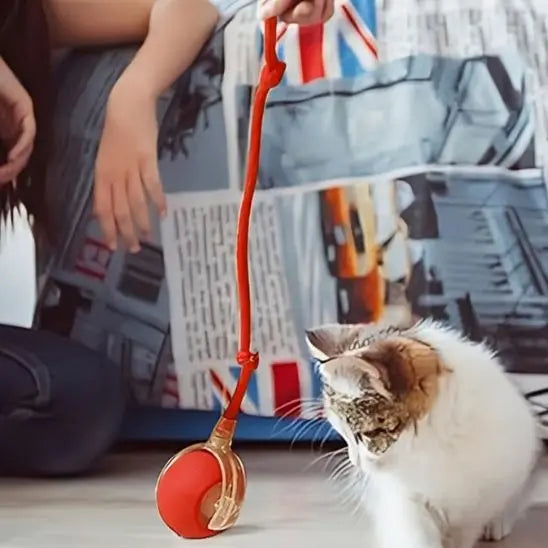 Jouet pour chat, balle roulante automatique avec queue UARAE Flagship Store