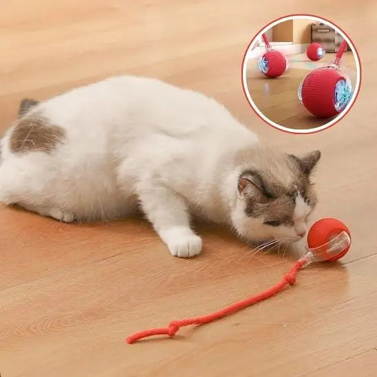 Jouet pour chat, balle roulante automatique avec queue UARAE Flagship Store