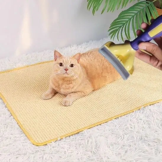 Peigne de toilettage pour chat BigBigEyes Store