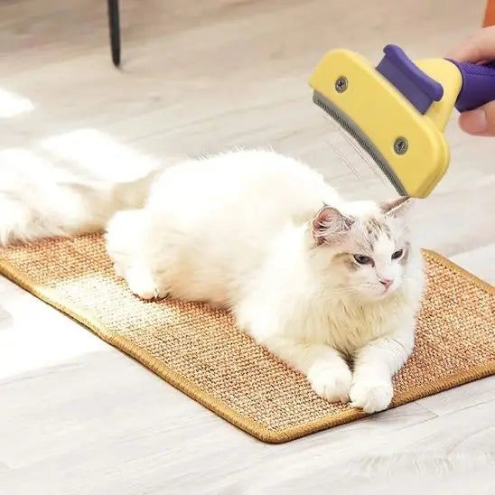Peigne de toilettage pour chat BigBigEyes Store