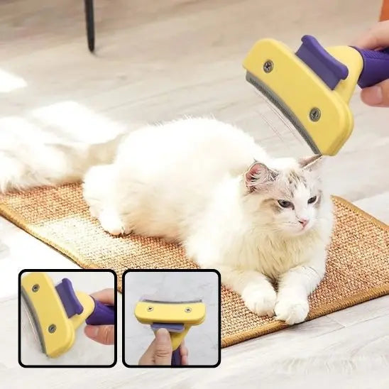 Peigne de toilettage pour chat BigBigEyes Store