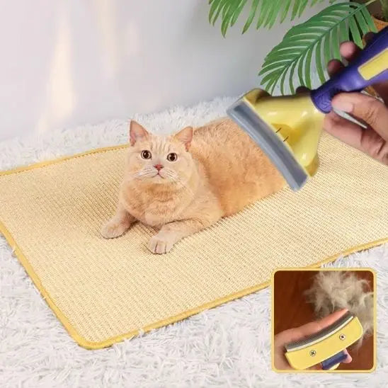 Peigne de toilettage pour chat BigBigEyes Store