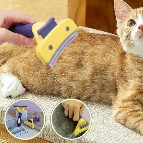 Peigne de toilettage pour chat BigBigEyes Store