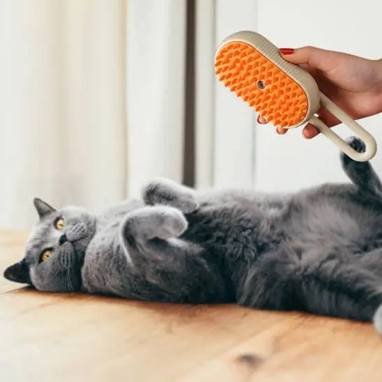 Brosse pour chat à vapeur Pet Clothing Store