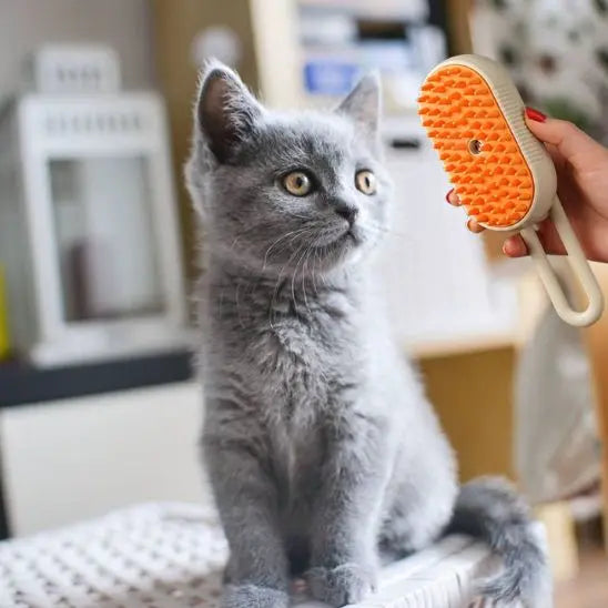 Brosse pour chat à vapeur Pet Clothing Store