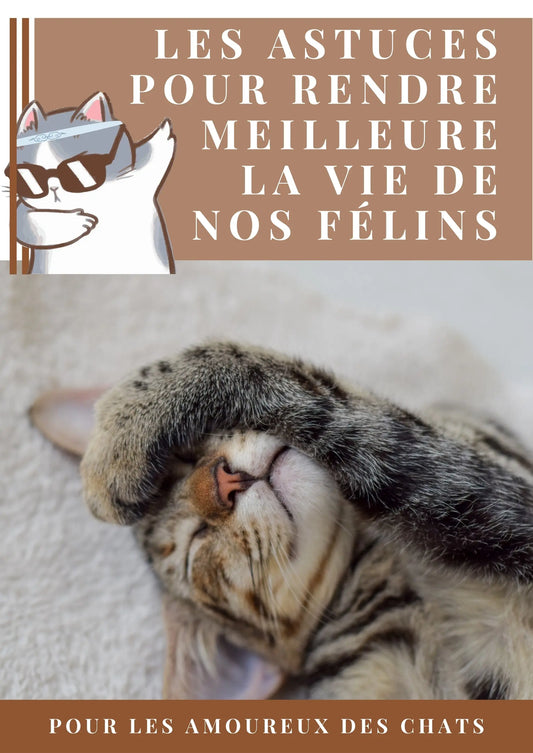 E-book -- Comment rendre meilleure la vie de nos félins Zone Chaton