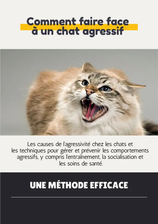 E-Book -- Comment faire face à un chat agressif Zone Chaton