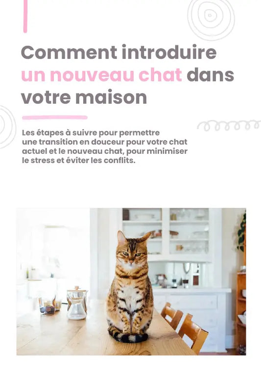 E-Book -- Comment introduire un nouveau chat dans votre maison Zone Chaton