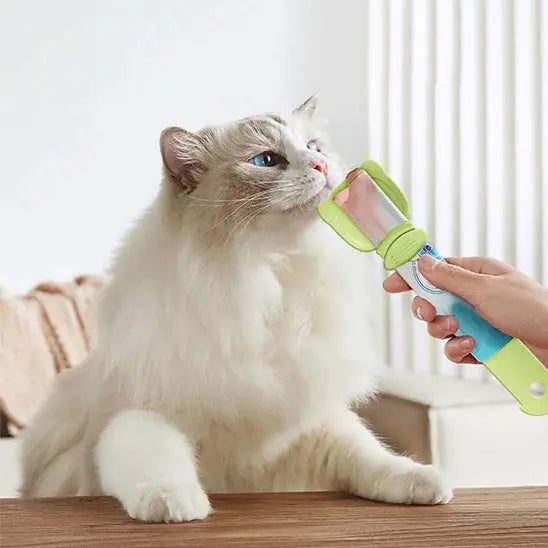 Cuillière d'alimentation pour chat Shop1103575513 Store
