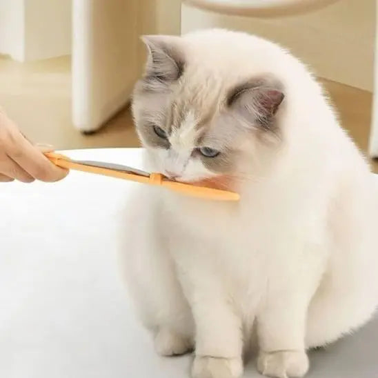 Cuillière d'alimentation pour chat Shop1103575513 Store