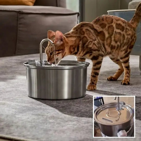 Fontaine d'eau pour Chat en Stainless Alipet Store