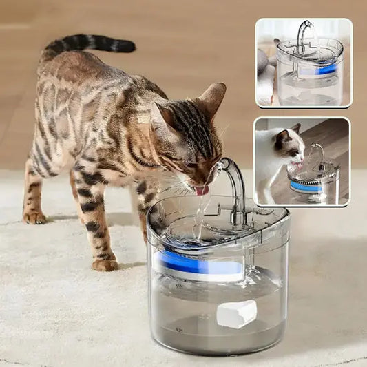 Fontaine d'eau pour chat Shop1102166088 Store
