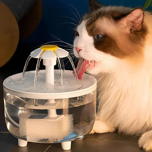 Fontaine à eau pour chat Herbalcandybox Store