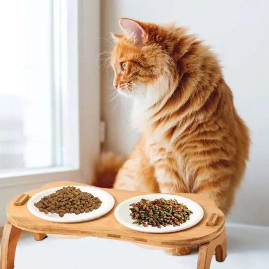 Gamelles surélevées avec plateau en bois pour Chat ATUBAN Store