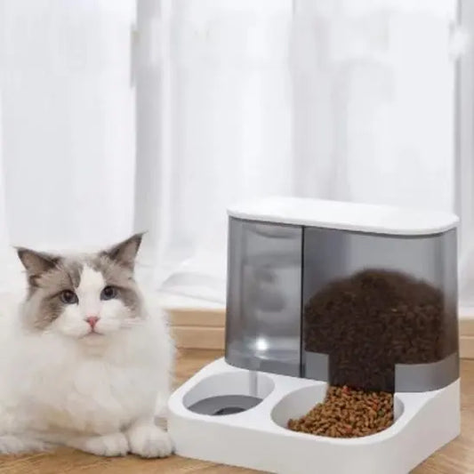 Distributeur automatique de nourriture pour chat Charlie Luna Store