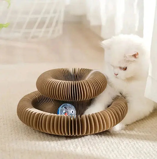 Griffoirs pour chat pliable, avec balle xiaqiming Store
