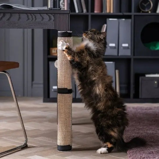 Griffoir à chat pour protéger meubles Preferred Fashion Home Store