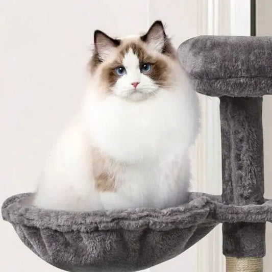 Hamac pour chat chaud et confortable Jingdu Pets Store
