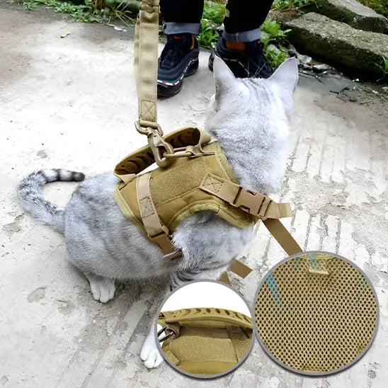 Harnais pour Chat de style tactique Qintian Pet Supplies Store Store