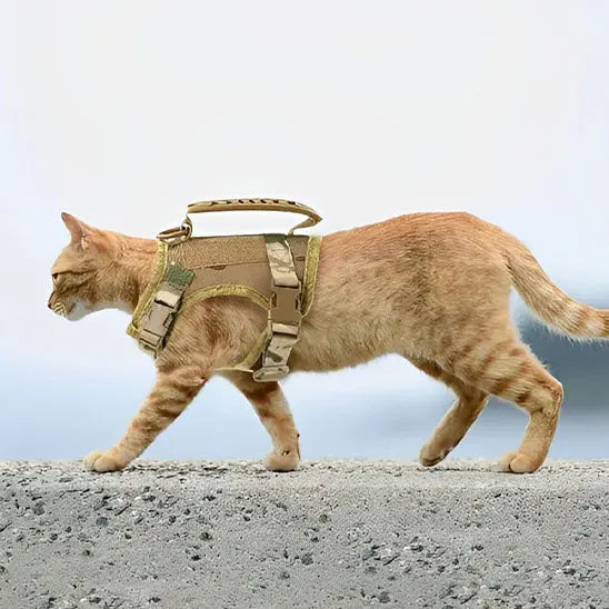 Harnais pour Chat de style tactique Qintian Pet Supplies Store Store