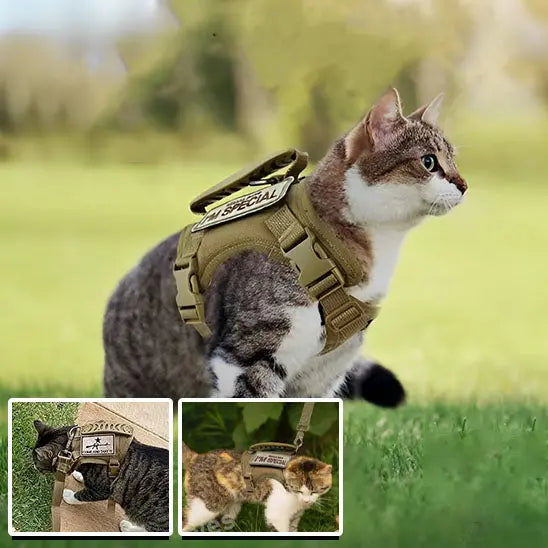 Harnais pour Chat de style tactique Qintian Pet Supplies Store Store