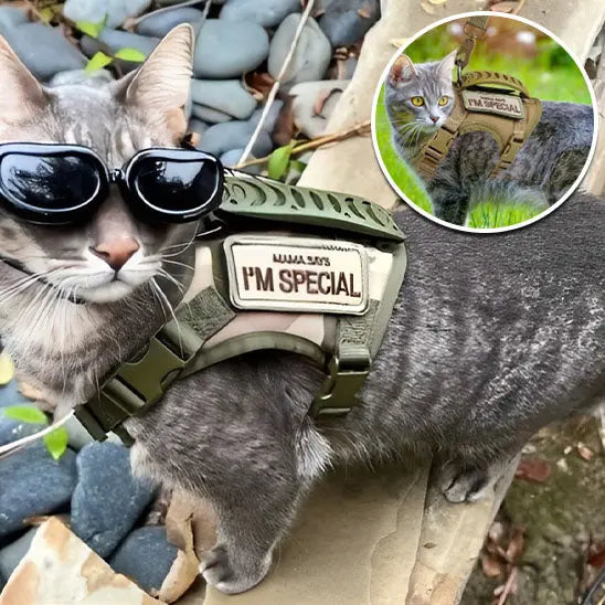 Harnais pour Chat de style tactique Qintian Pet Supplies Store Store