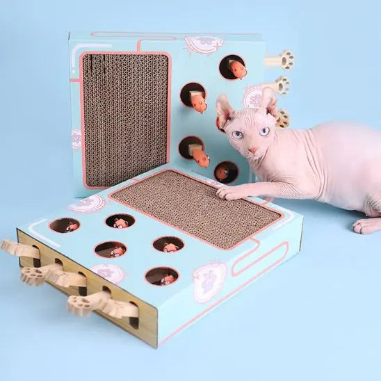 Boîte de jeu pour chat 3 en 1 avec grattoir Car Engineer Store