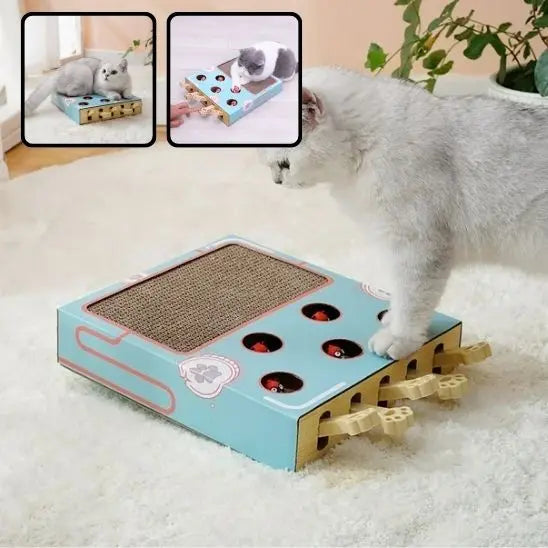 Boîte de jeu pour chat 3 en 1 avec grattoir Car Engineer Store