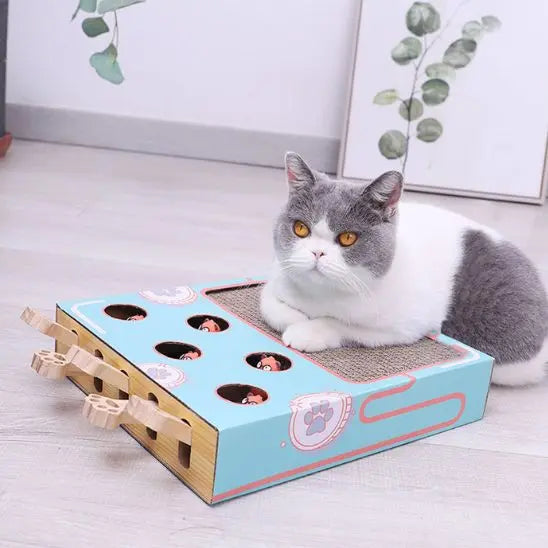 Boîte de jeu pour chat 3 en 1 avec grattoir Car Engineer Store
