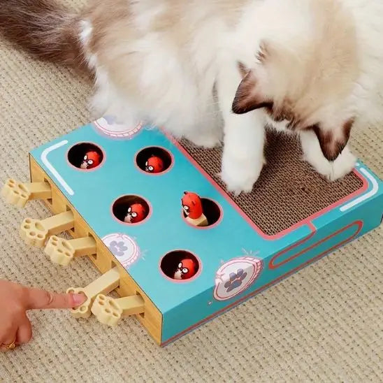 Boîte de jeu pour chat 3 en 1 avec grattoir Car Engineer Store