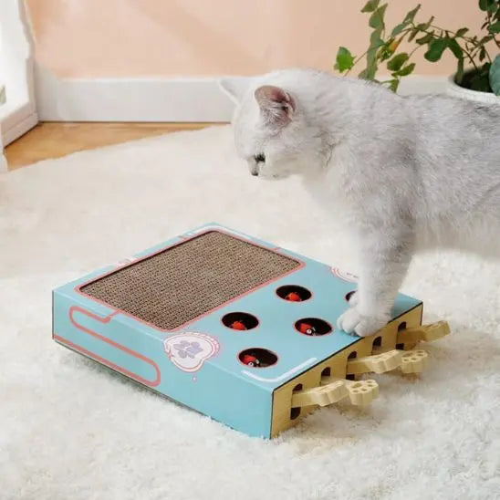 Boîte de jeu pour chat 3 en 1 avec grattoir Car Engineer Store
