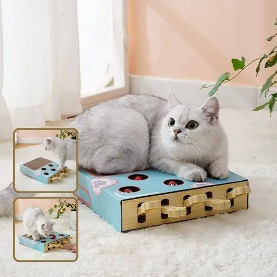 Boîte de jeu pour chat 3 en 1 avec grattoir Car Engineer Store
