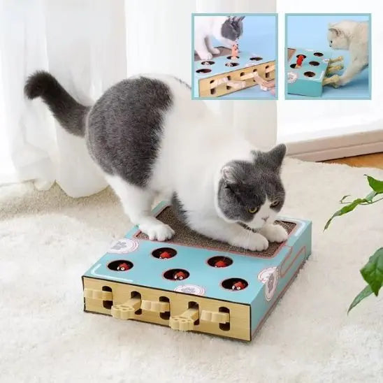 Boîte de jeu pour chat 3 en 1 avec grattoir Car Engineer Store