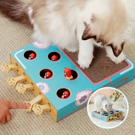 Boîte de jeu pour chat 3 en 1 avec grattoir Car Engineer Store